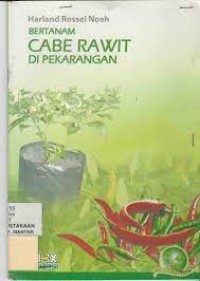 Image of Bertanam Cabai Rawit di Pekarangan