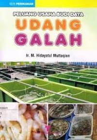 Image of Peluang Usaha Budi Daya Udang Galah